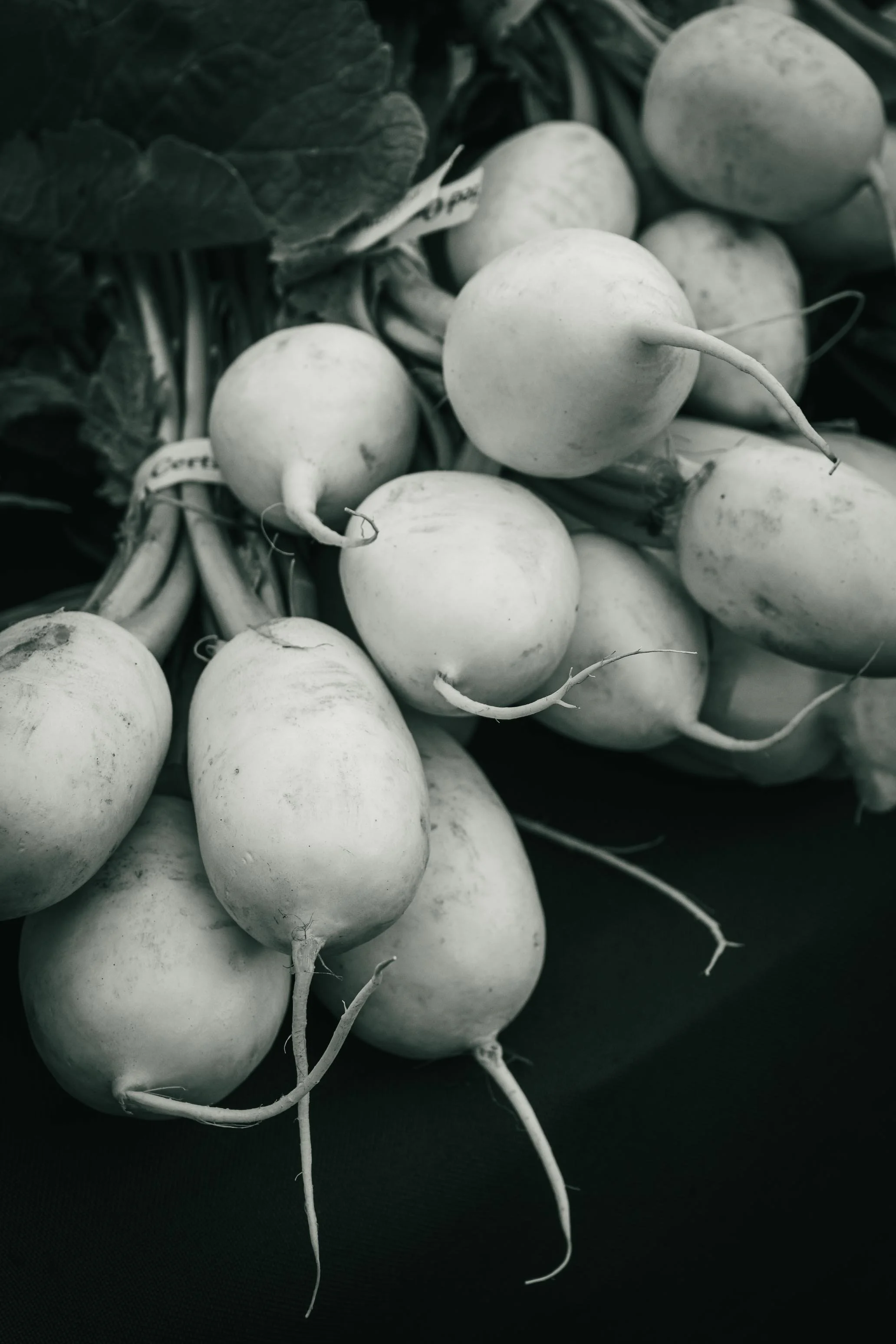 Farmer's Market Textures-55.jpg