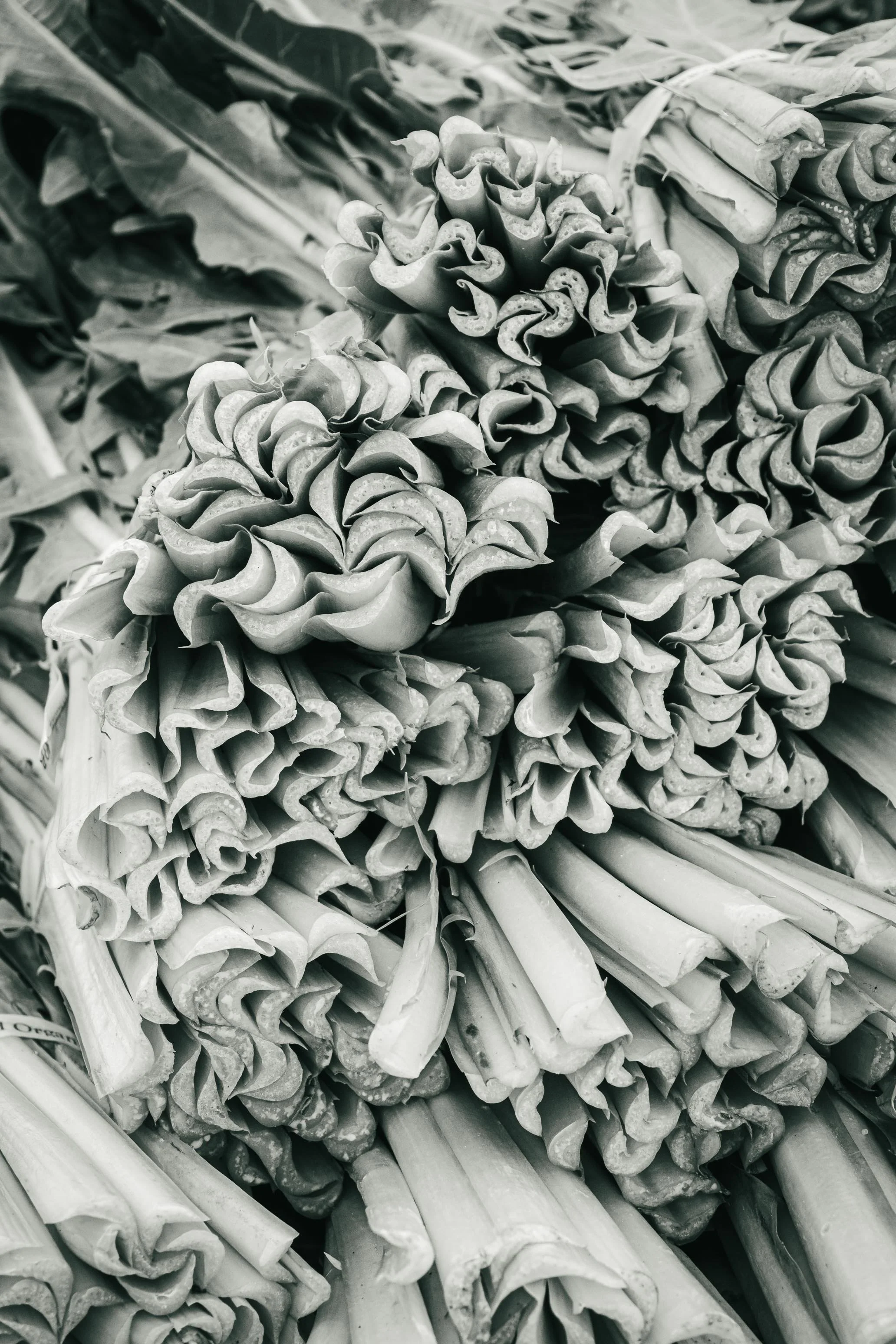 Farmer's Market Textures-54.jpg