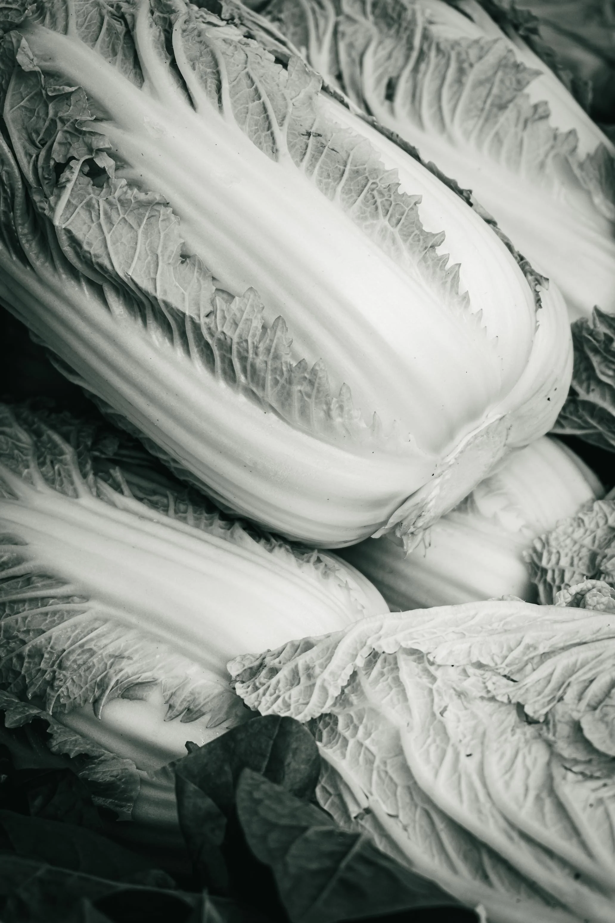 Farmer's Market Textures-2.jpg