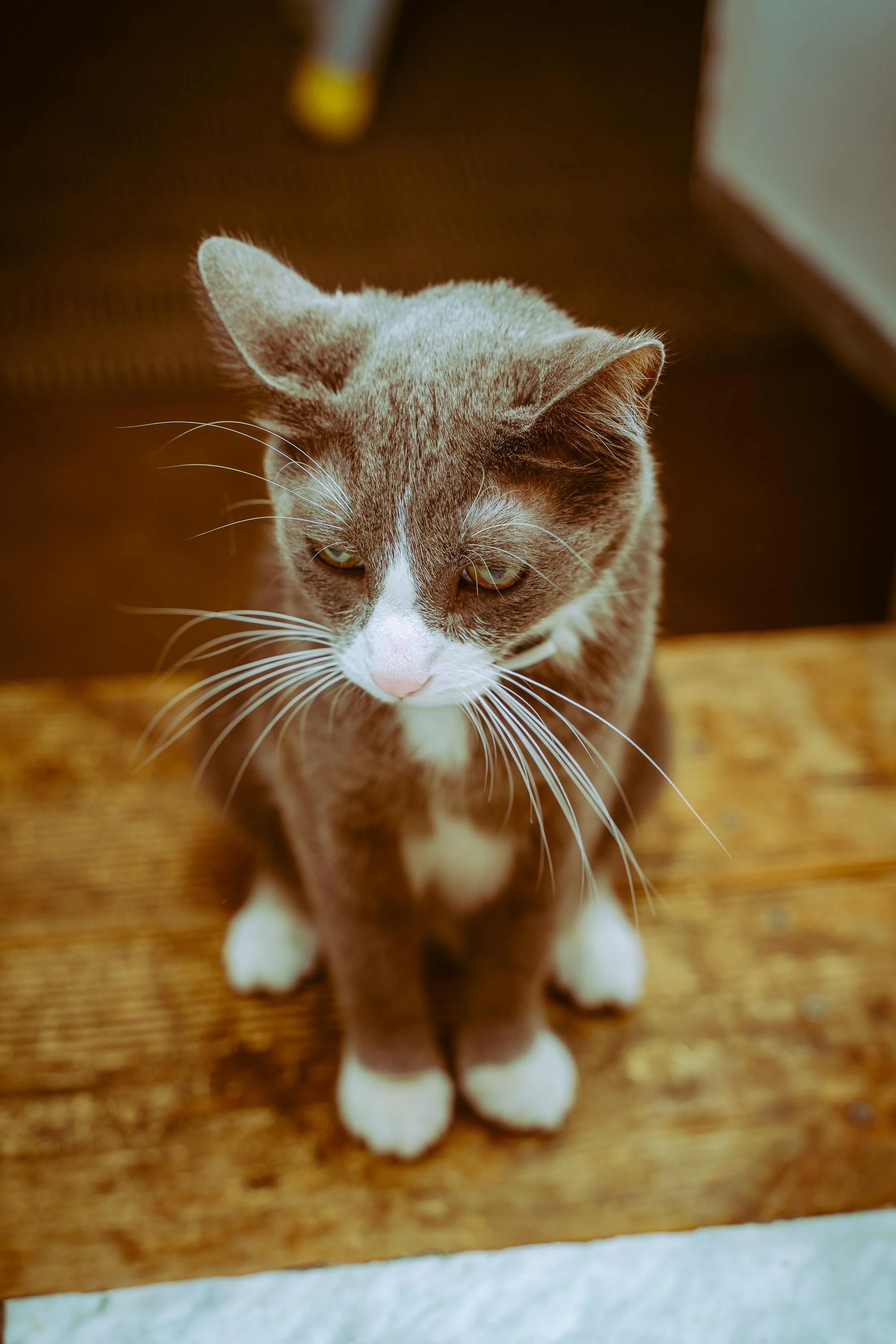 L&L Friendsgiving 2024-12.jpg