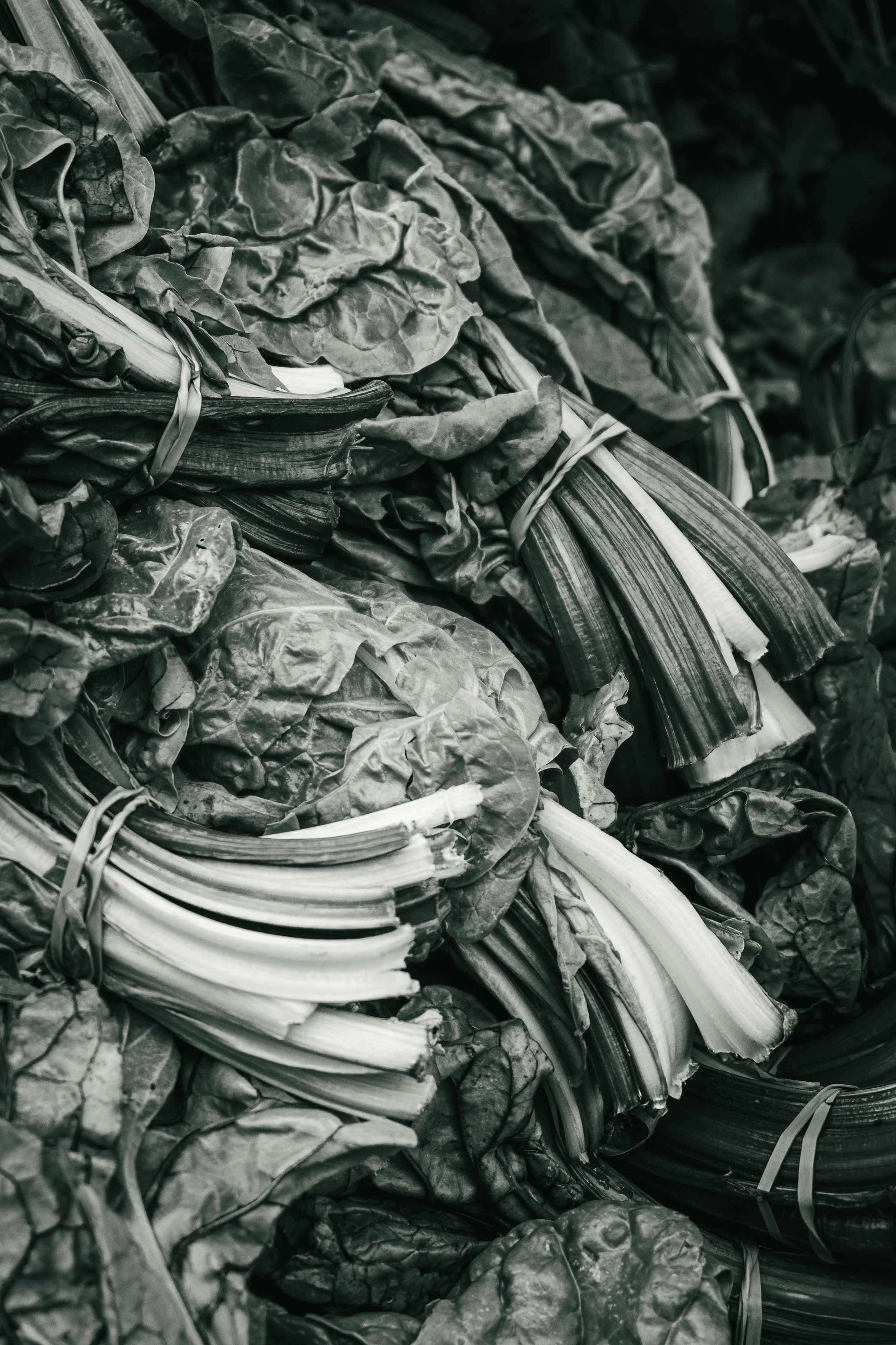 Farmer's Market Textures-5.jpg
