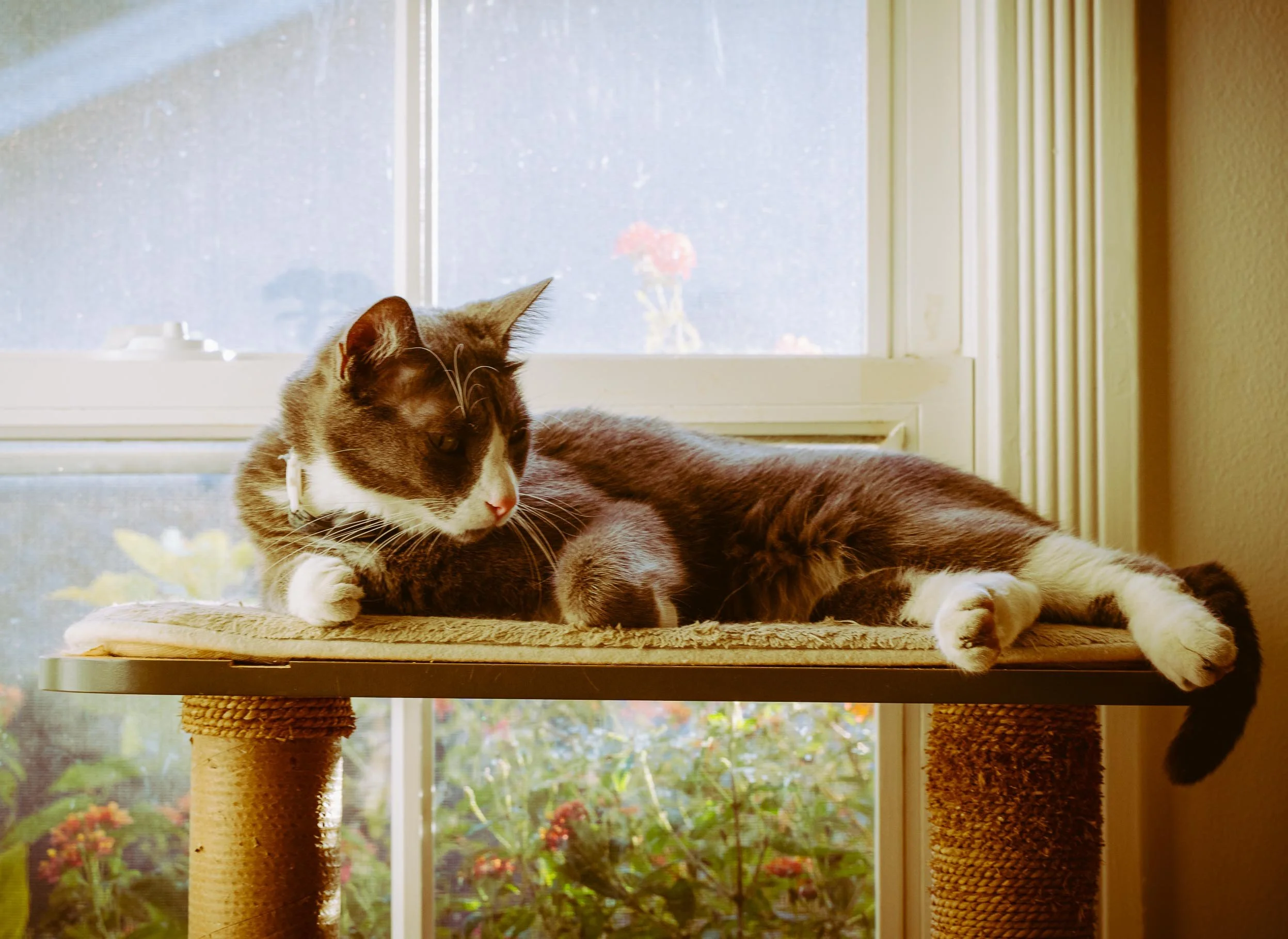 L&L Friendsgiving 2024-57.jpg