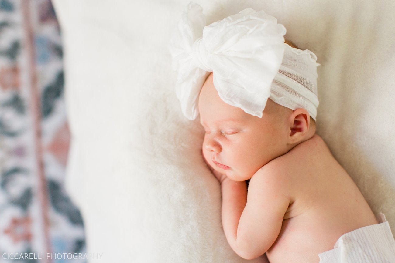 CiccarelliPhotography_0712.jpg