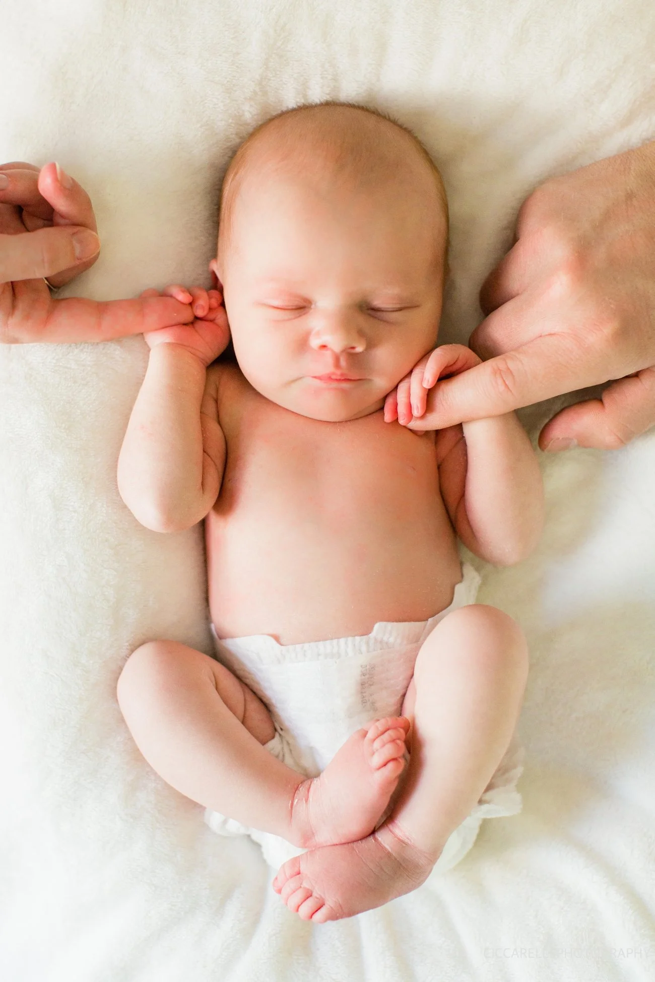 CiccarelliPhotography_0713.jpg