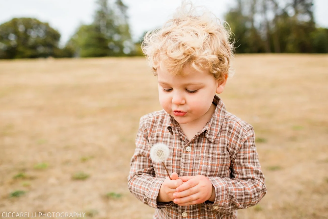 CiccarelliPhotography_0834.jpg