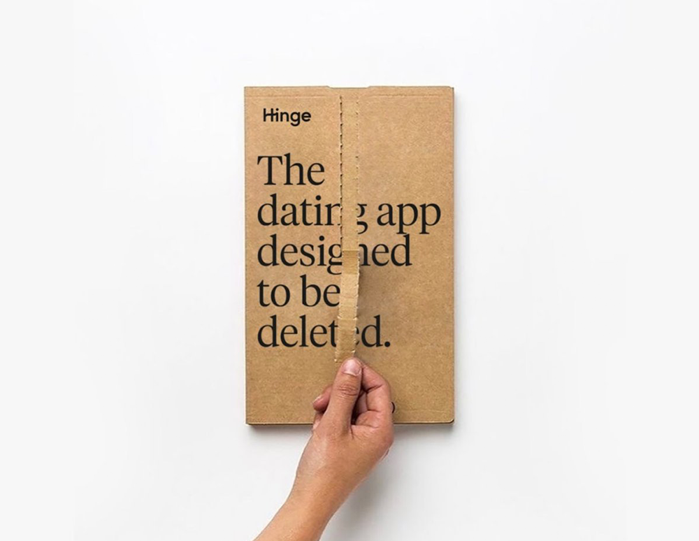 hinge book1.png