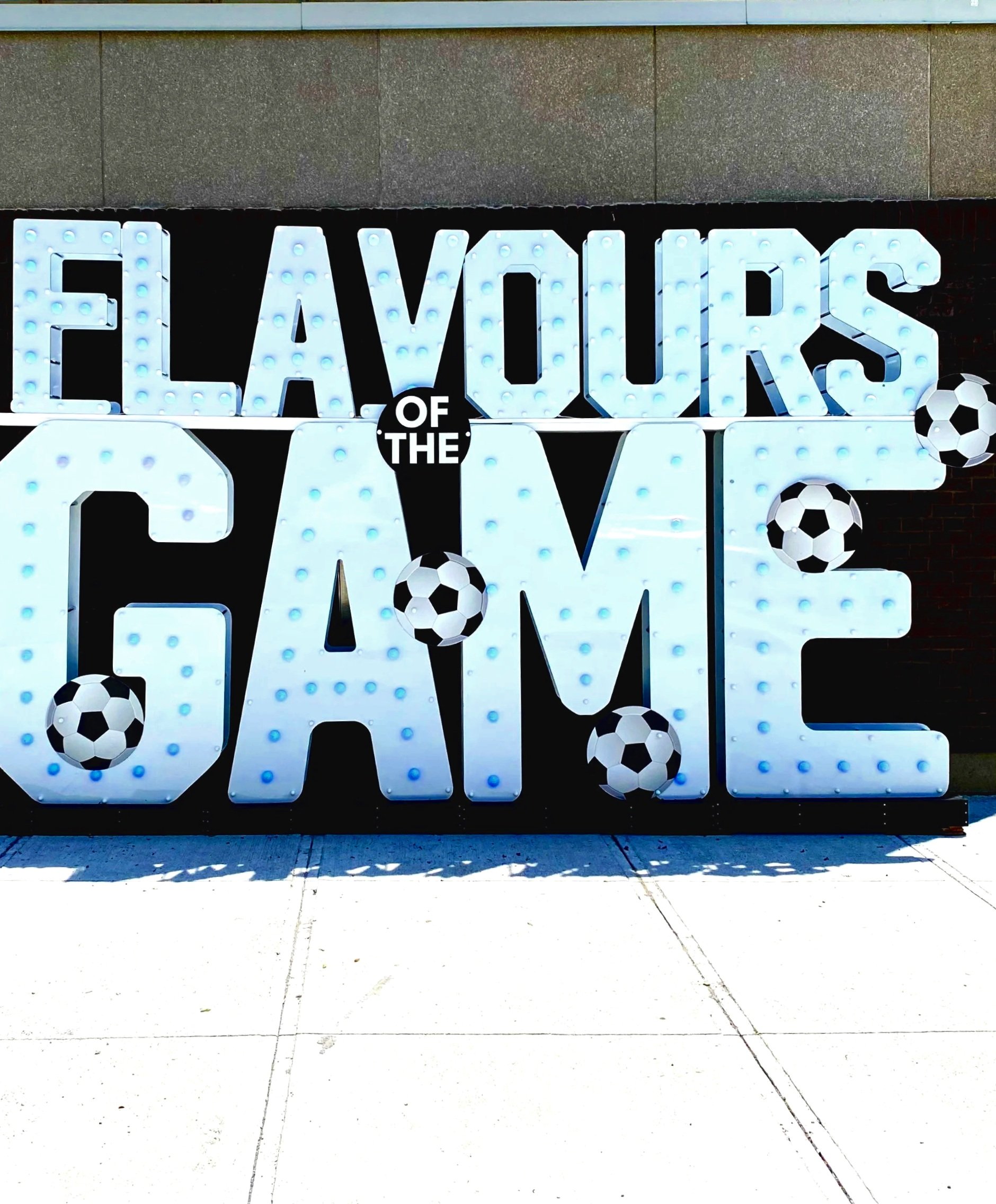 flavours+of+the+game+-+Scadding+Court.jpg
