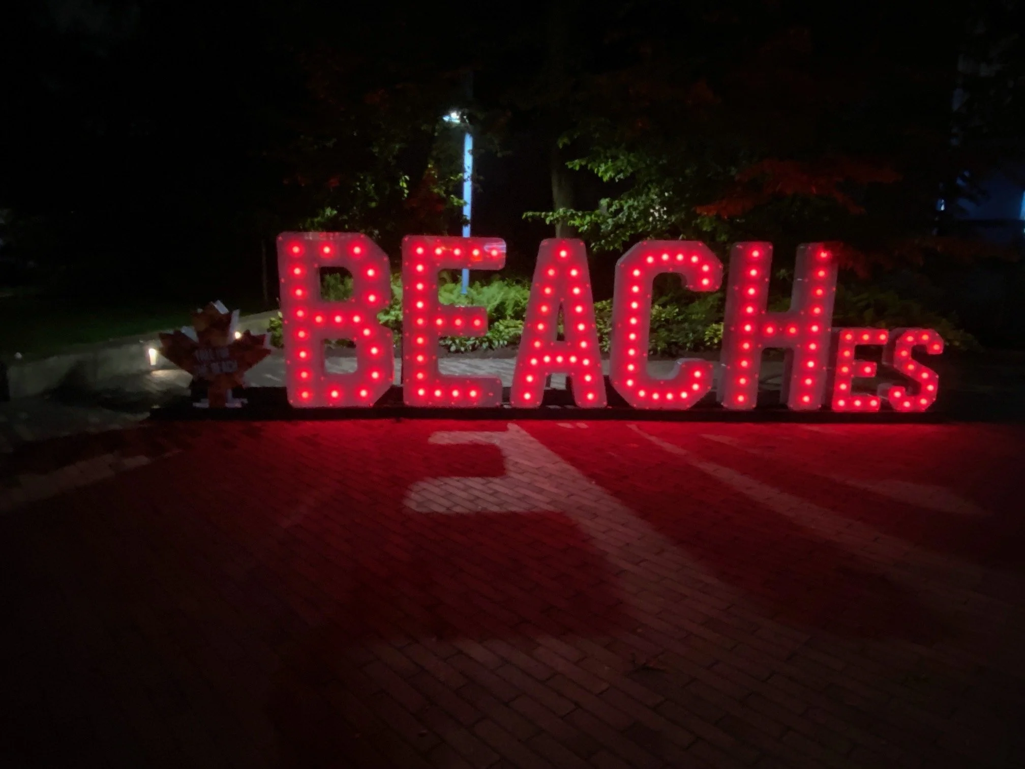 IMG_8572.jpeg
