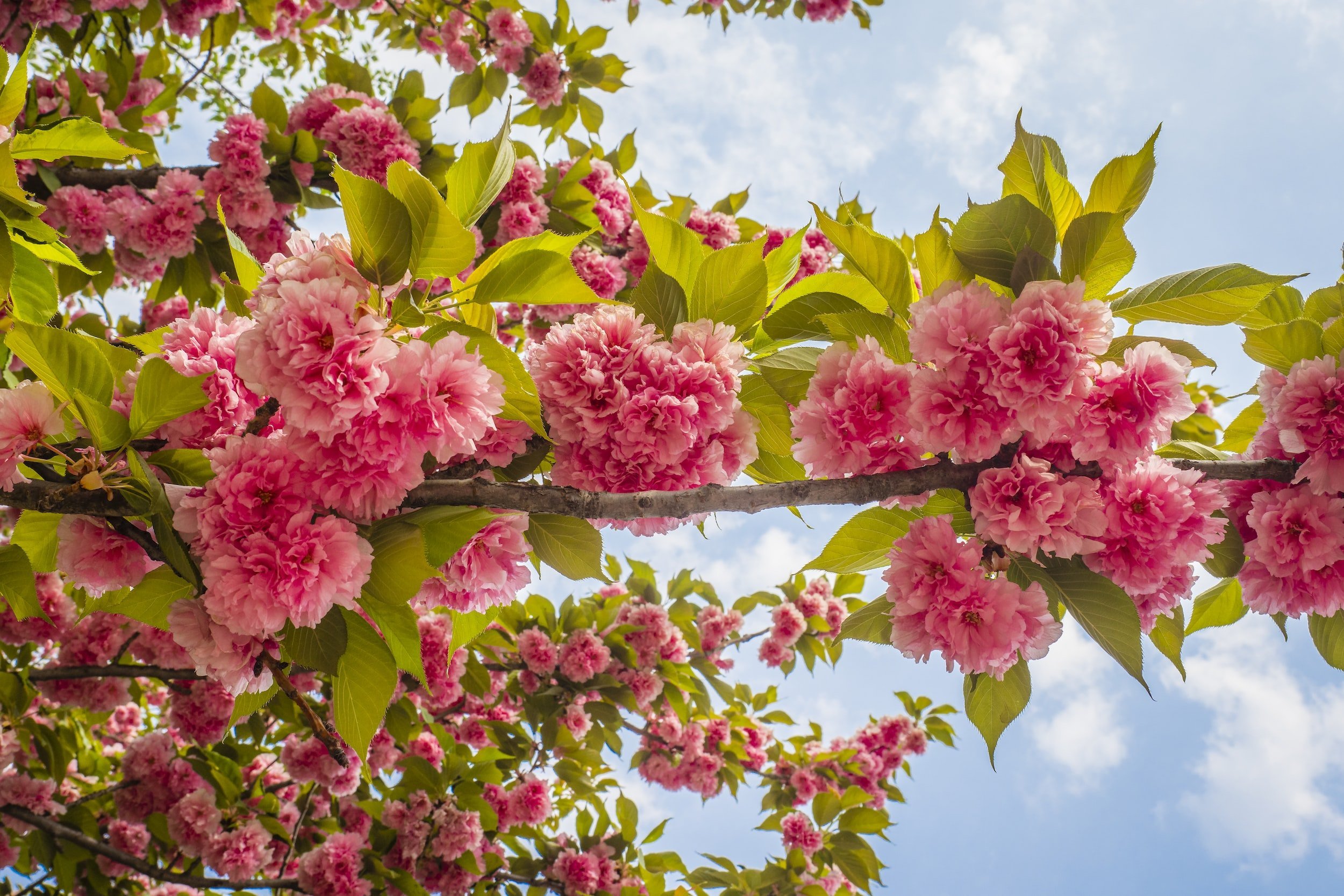 May Newsletter