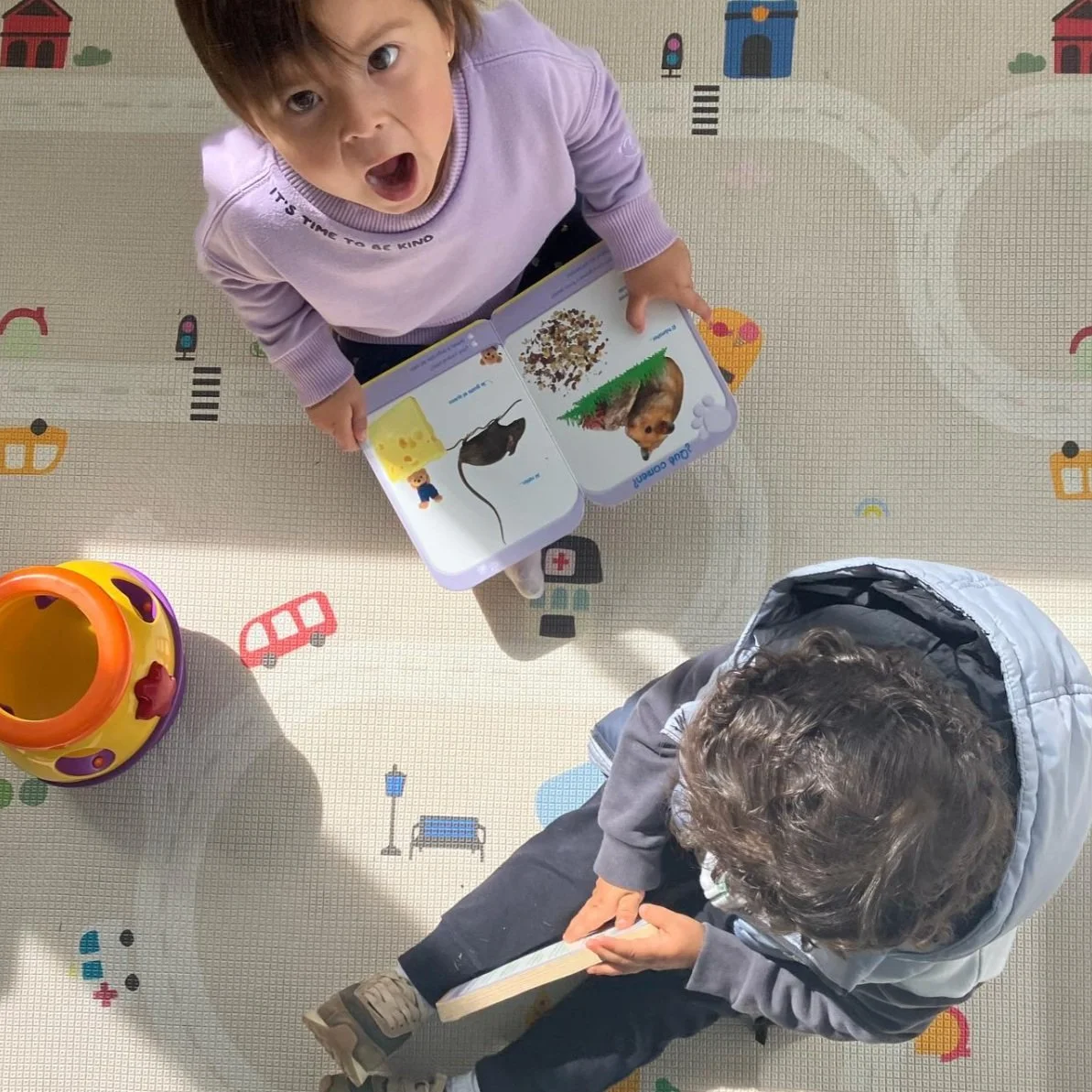 Captura de Pantalla 2023-06-14 a la(s) 11.49.07 p. m..jpg