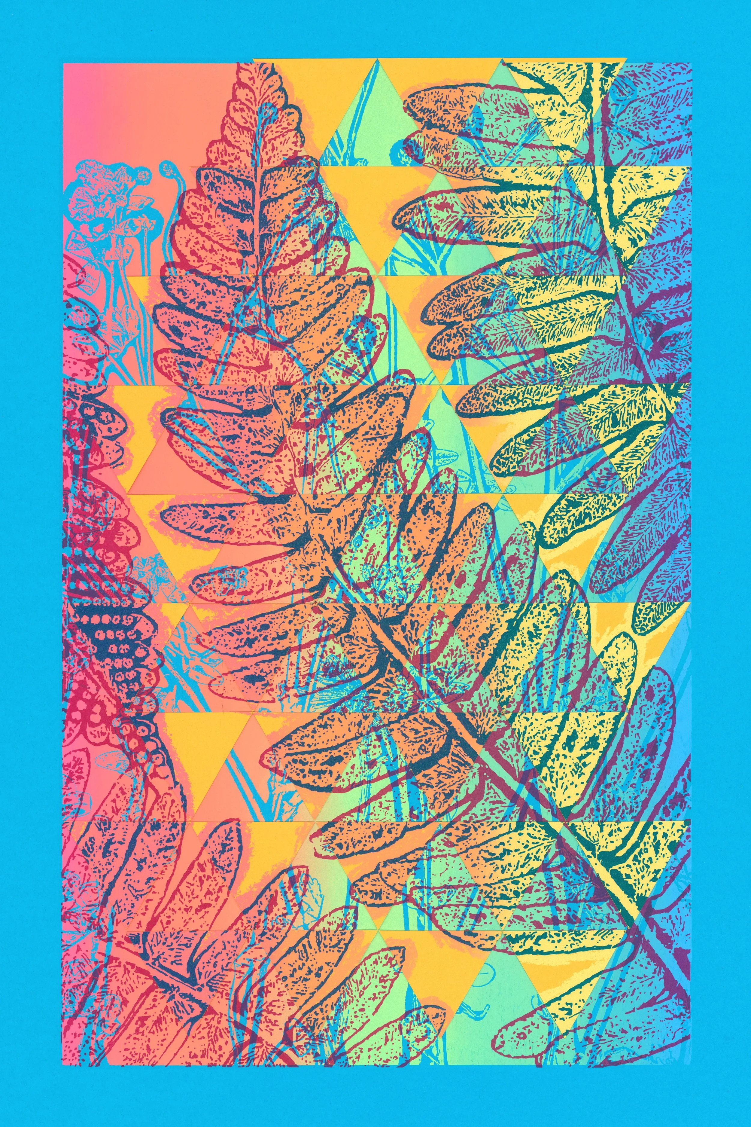 BeeVision40.jpg