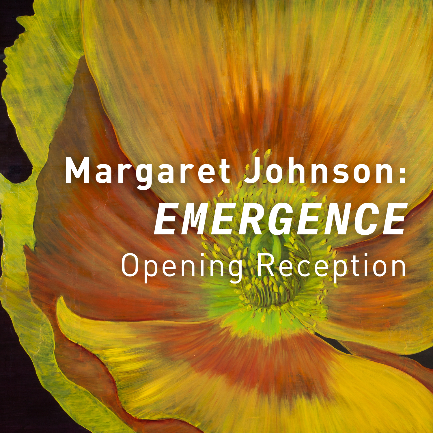 Margaret Johnson: Emergence Opening Reception