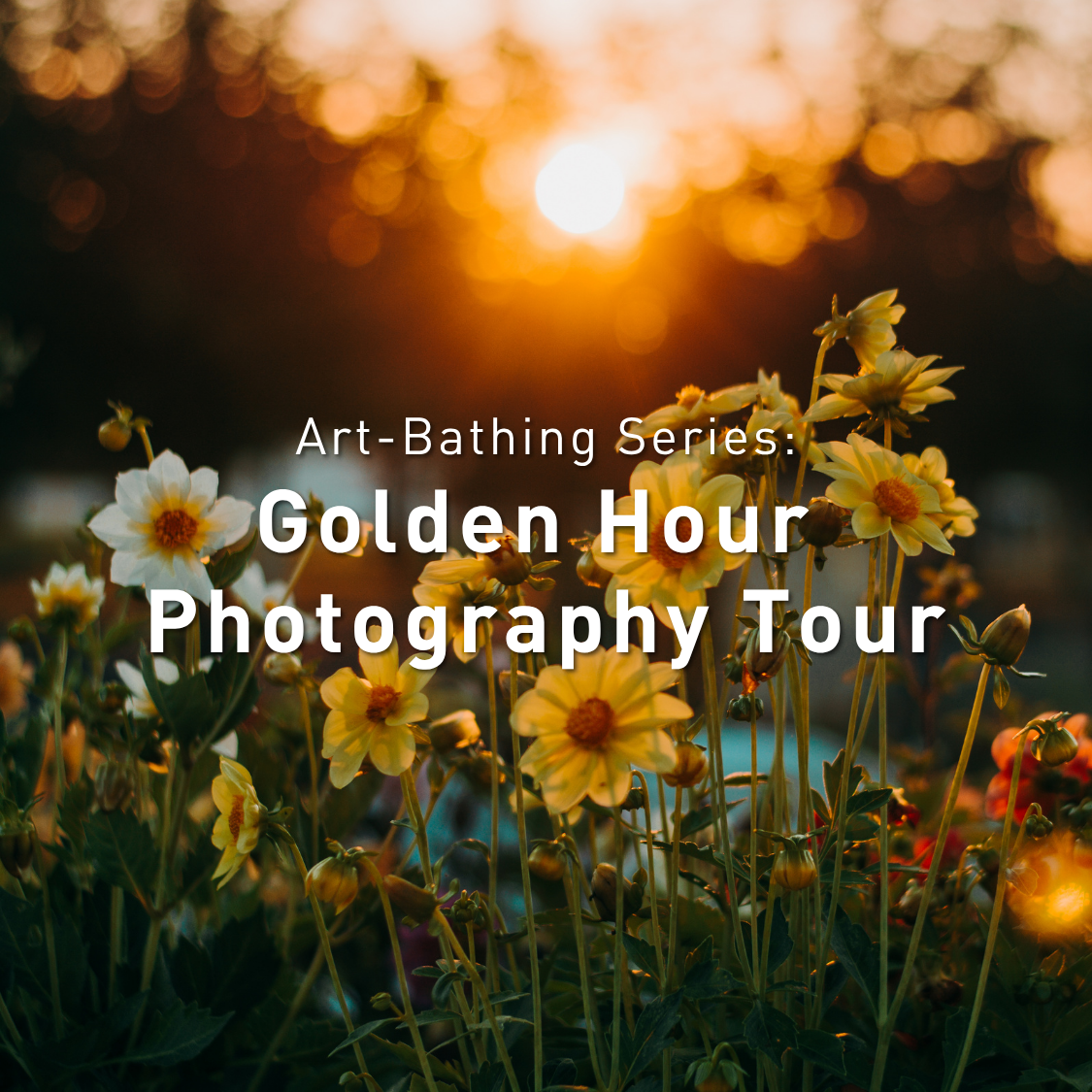 Art Bathing Series: Golden Hour Photography Tour