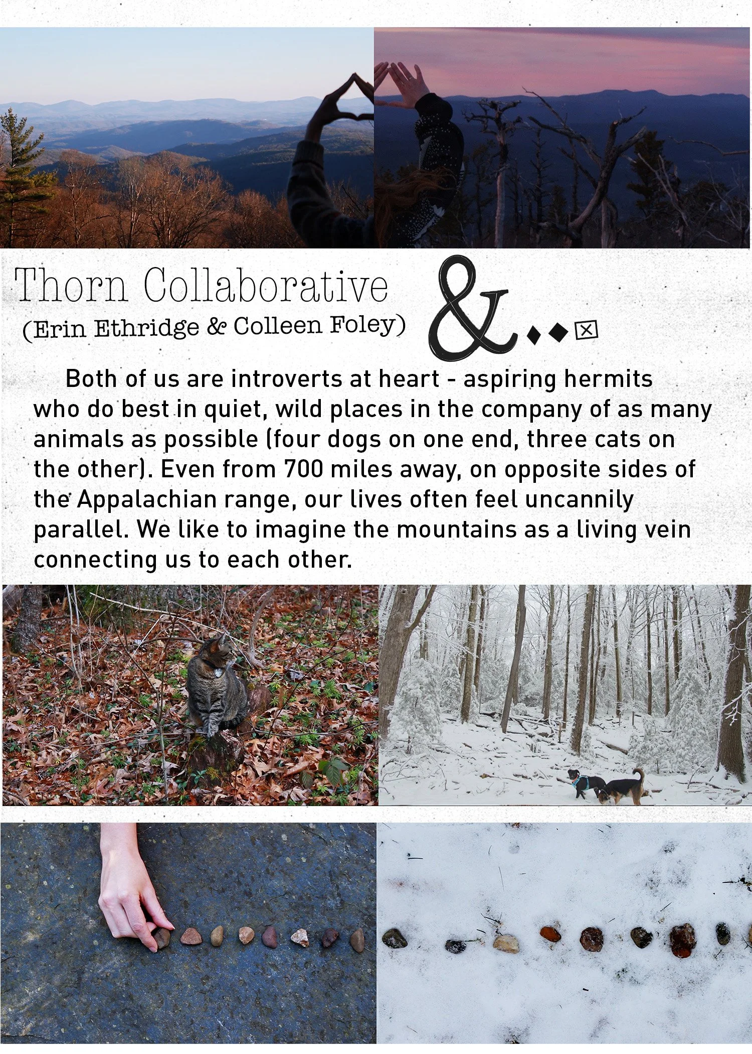 Thorn Collective