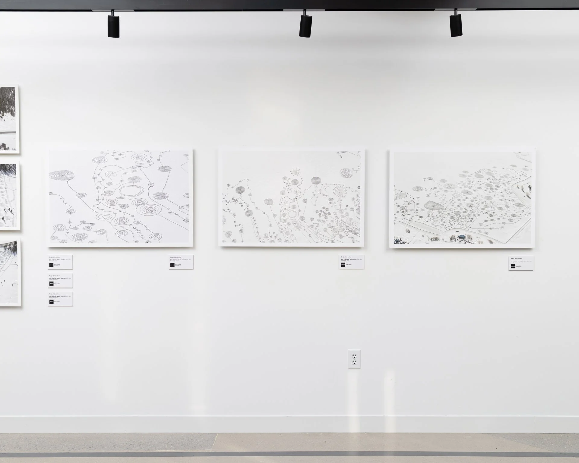 Artist Sonja Hinrichsen at Pearl East, Boulder