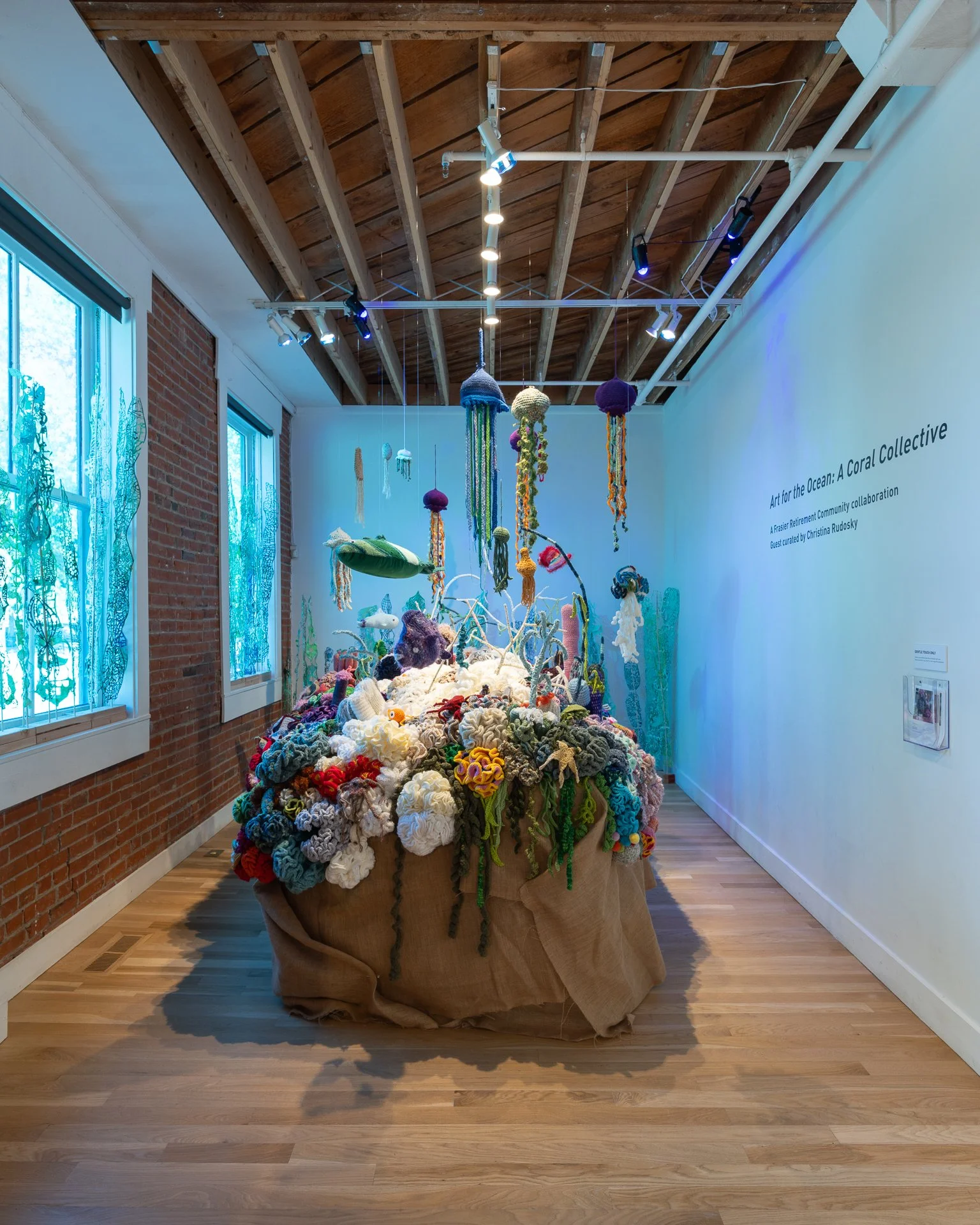 Art for the Ocean: A Coral Collective installation at BMoCA