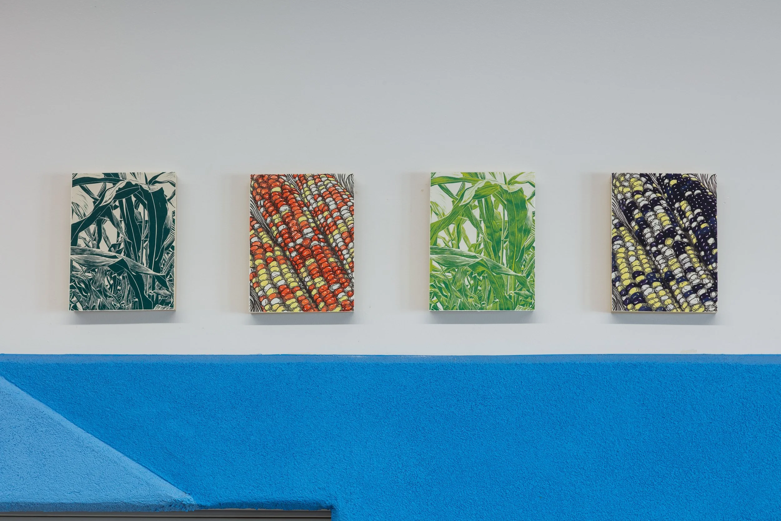 Raymundo Muñoz: Maize Flow @ City of Bennett