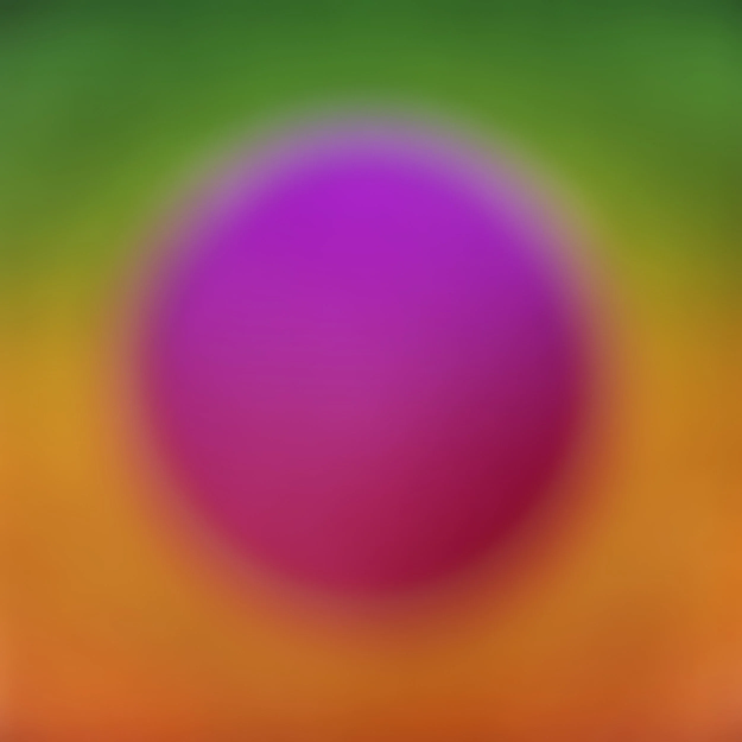 Bill Armstrong, Mandala 4002