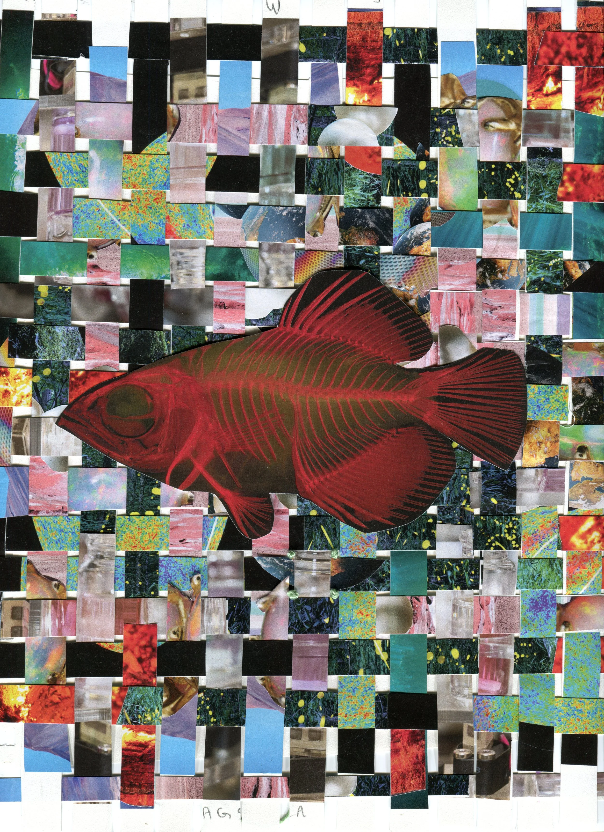 Megan Grimm, Red Fish (detail), 4’x7’ Vinyl Print of a Woven Paper Collage, 2023.