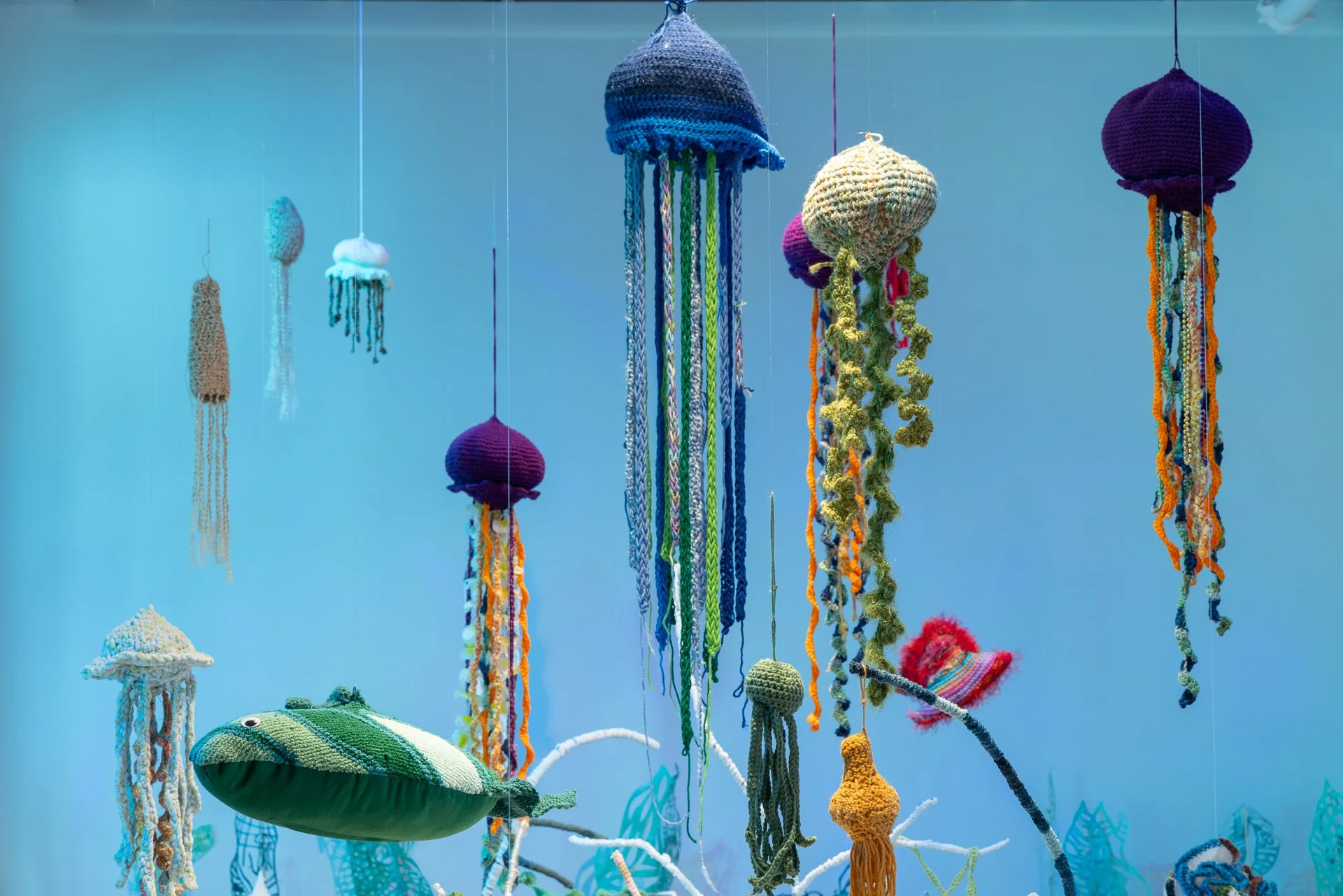 Art for the Ocean: A Coral Collective installation at BMoCA