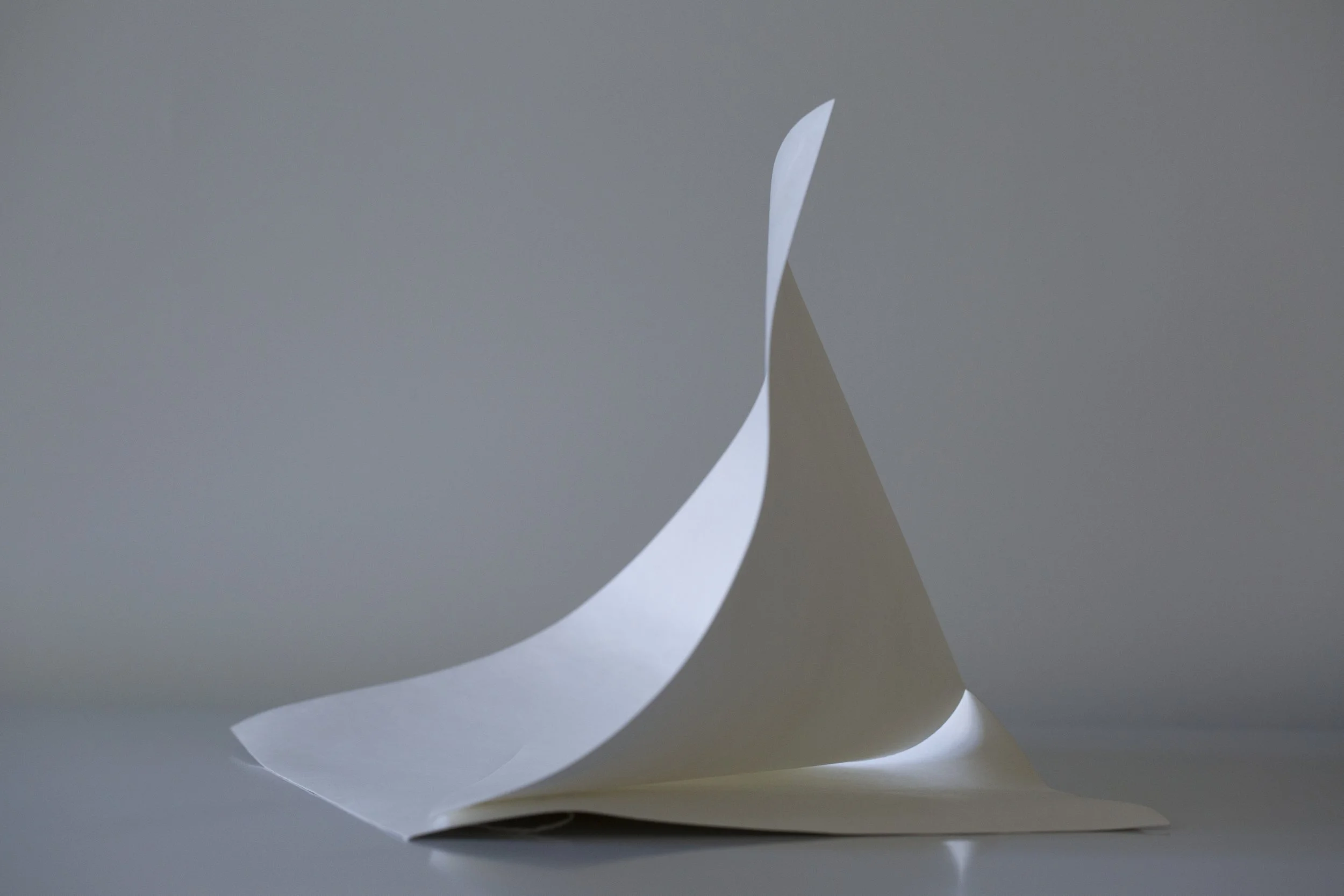 Elizabeth Mead, Untitled