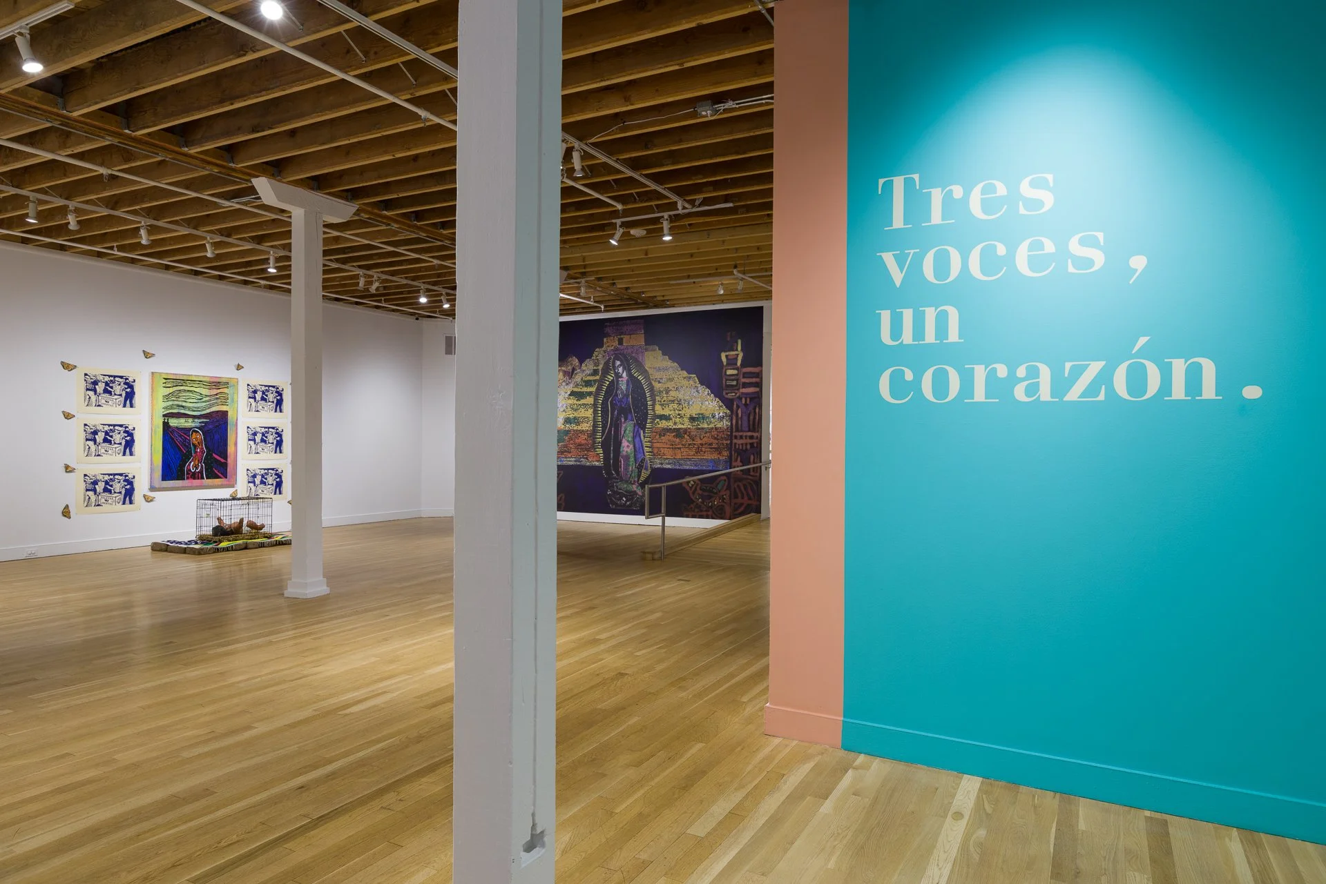 installation view of work by Tony Ortega and Sylvia Montero