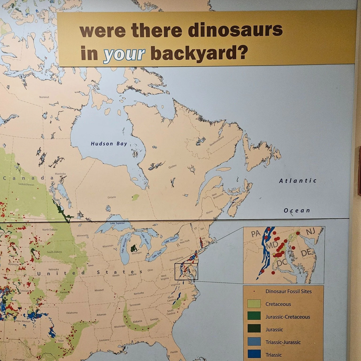 A few times each year, I have the opportunity to travel to Washington, DC, for meetings and conferences. In what will surprise no one, when my schedule allows, I make a quick visit to the Smithsonian National Museum of Natural History to spend a few 