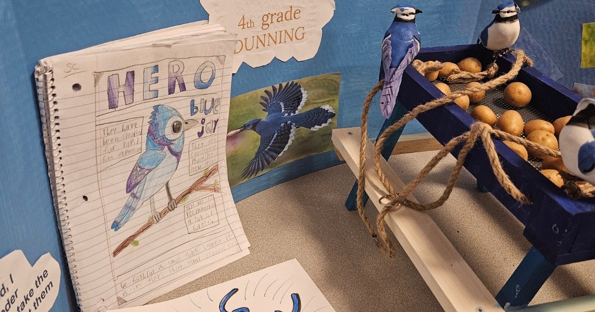 Elementary school composting, ethical mining, Blue Jay heroes, the poison gases of WWI, kawaii Japanese art, vestigial structures in evolution, adorable kiwi birds, and even a proposed change to state law (much more on that one later)...

Last night'