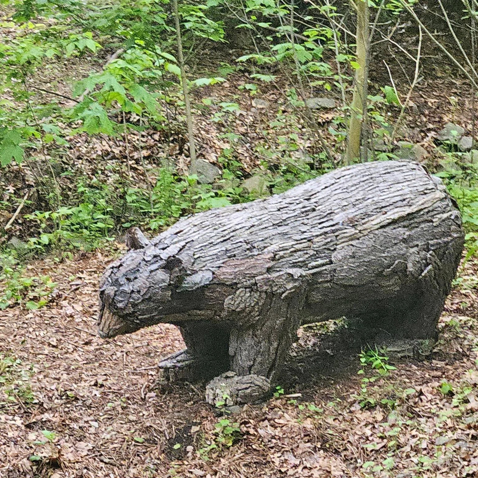 Brent, Brownie, and I checked out A.R.T. on the C.R.T. (Art on the Cochituate Rail Trail ) earlier this month, a wonderful collaboration between the Friends of Framingham Trails and the @framinghamculturalcouncil.

These eight original works will rem