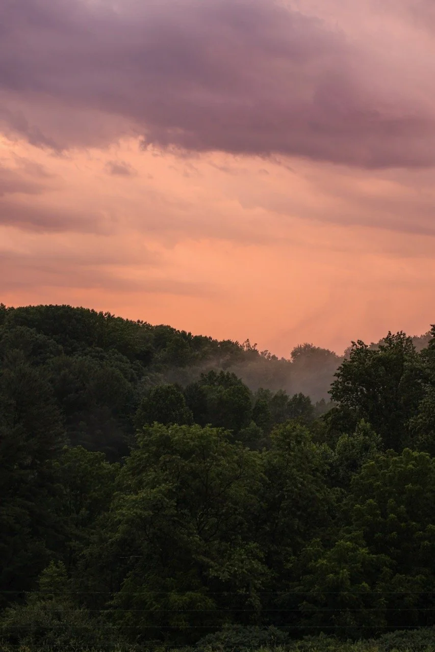 A view of a forested landscape with a pinkish-purple sky and dark clouds at sunset.