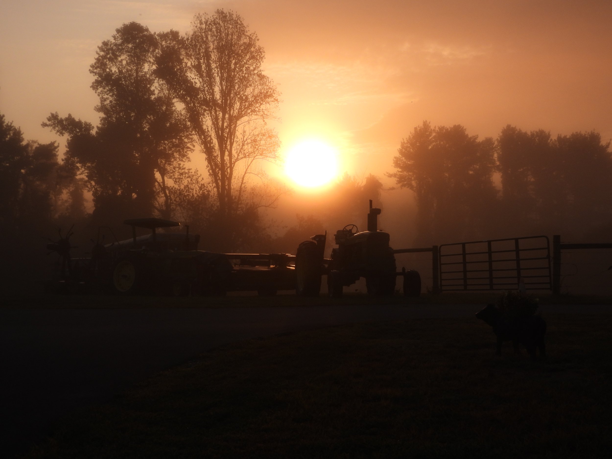 DSCN0198.JPG