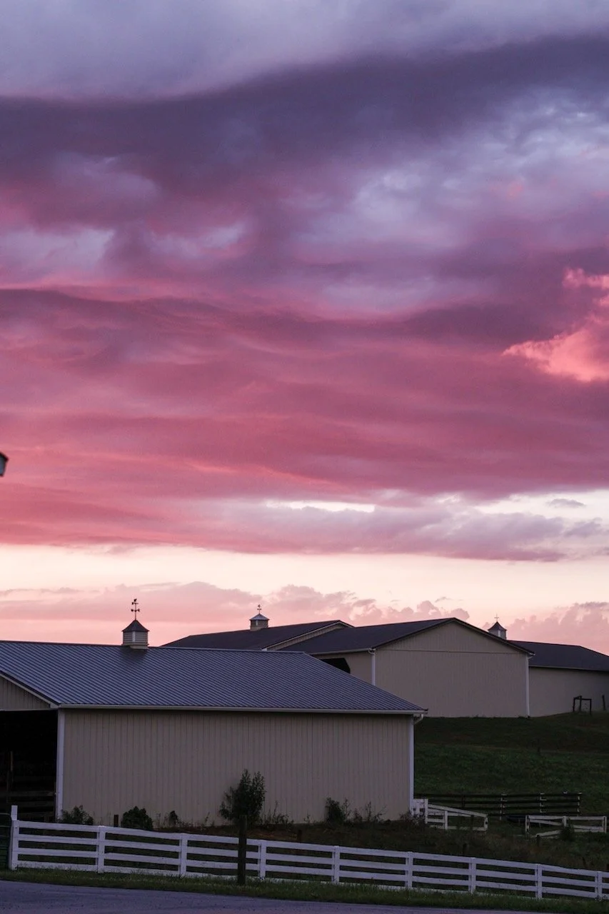 A rural scene at sunset with colorful purple and pink clouds, farm buildings with metal roofs, small cupolas with weather vanes, a white fence, and a grassy area.