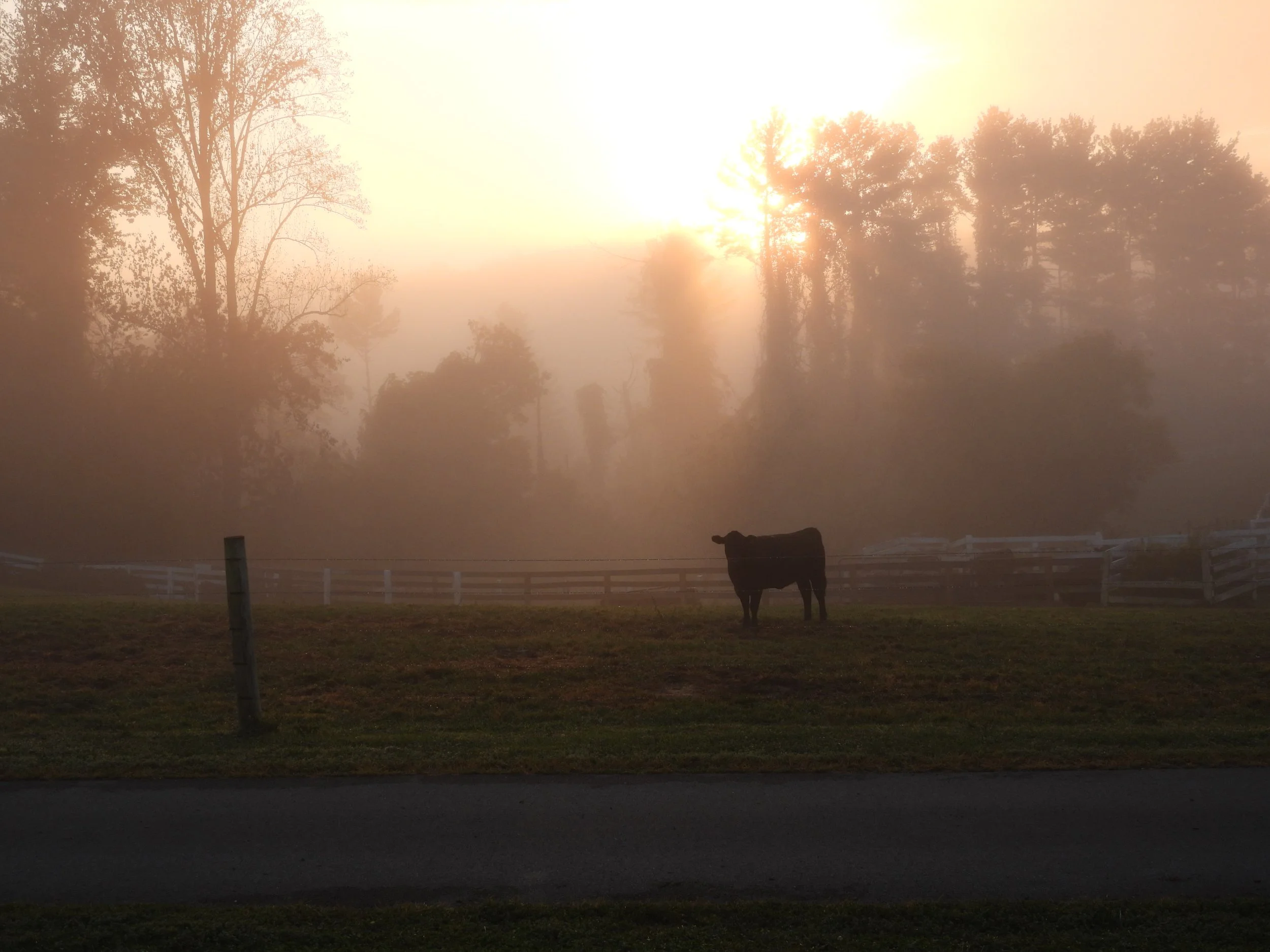 DSCN0199.JPG