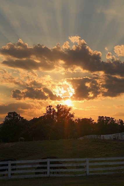 Sunset sky with clouds and rays of sunlight shining through, silhouetted trees and a white fence in the foreground.