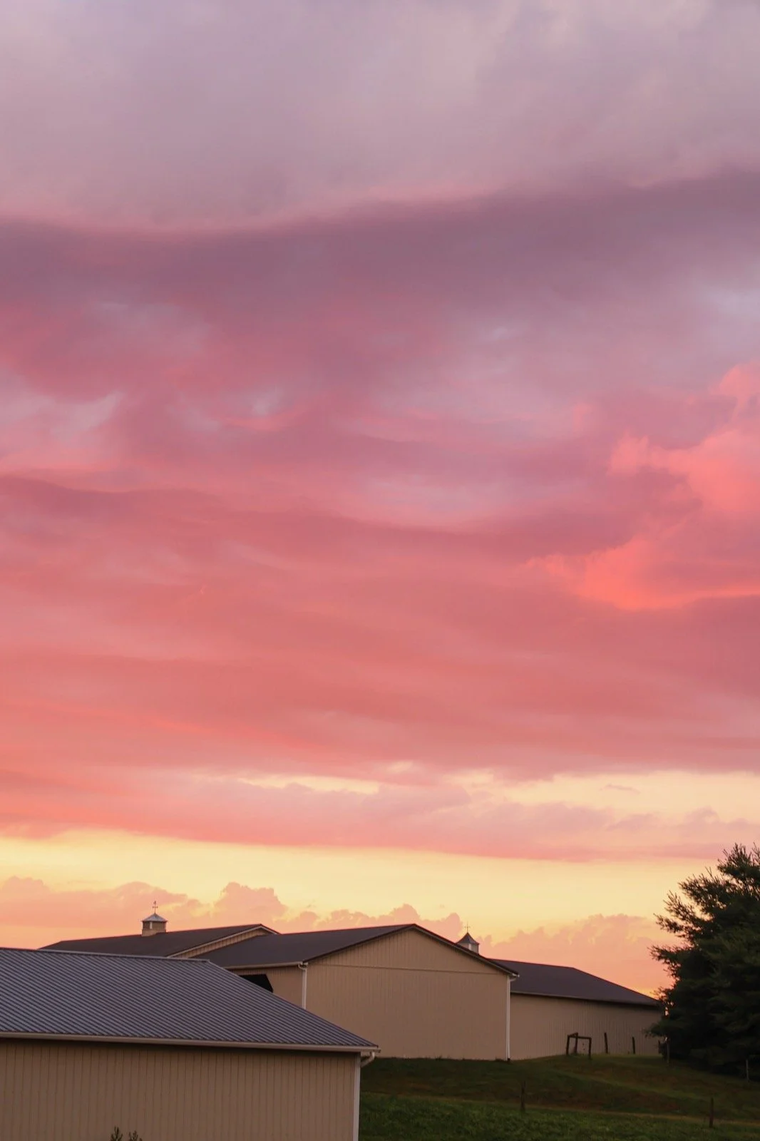Colorful sunset sky with pink, purple, and orange clouds above farm buildings and trees.