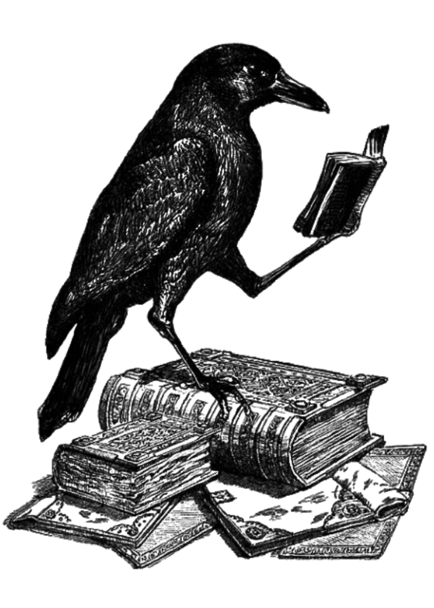 Blackbird Book Page Palindrome Projects blackbird-book-page-palindrome-projects