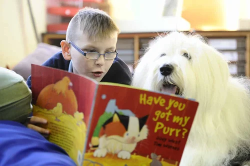 Cooper Reading With Rover Events — Reading with Rover