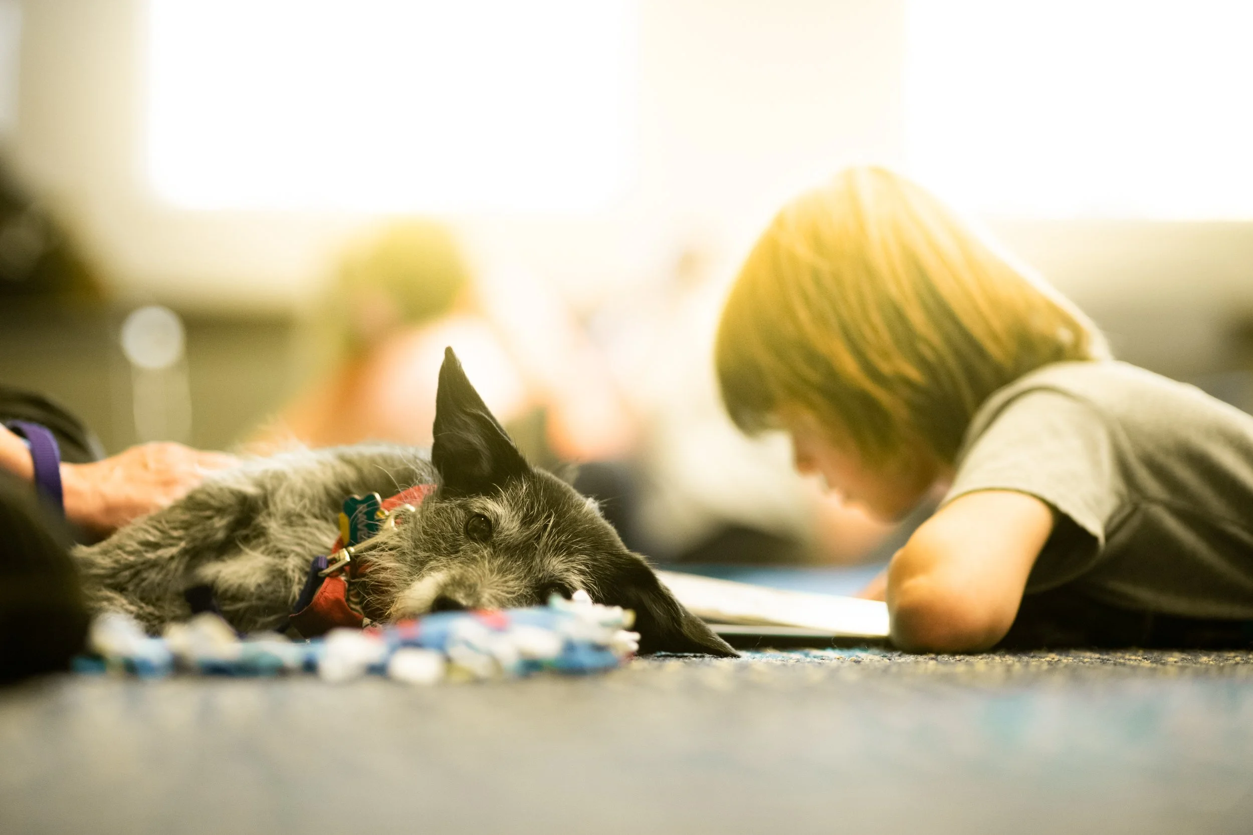Cooper Reading With Rover Contact — Reading with Rover