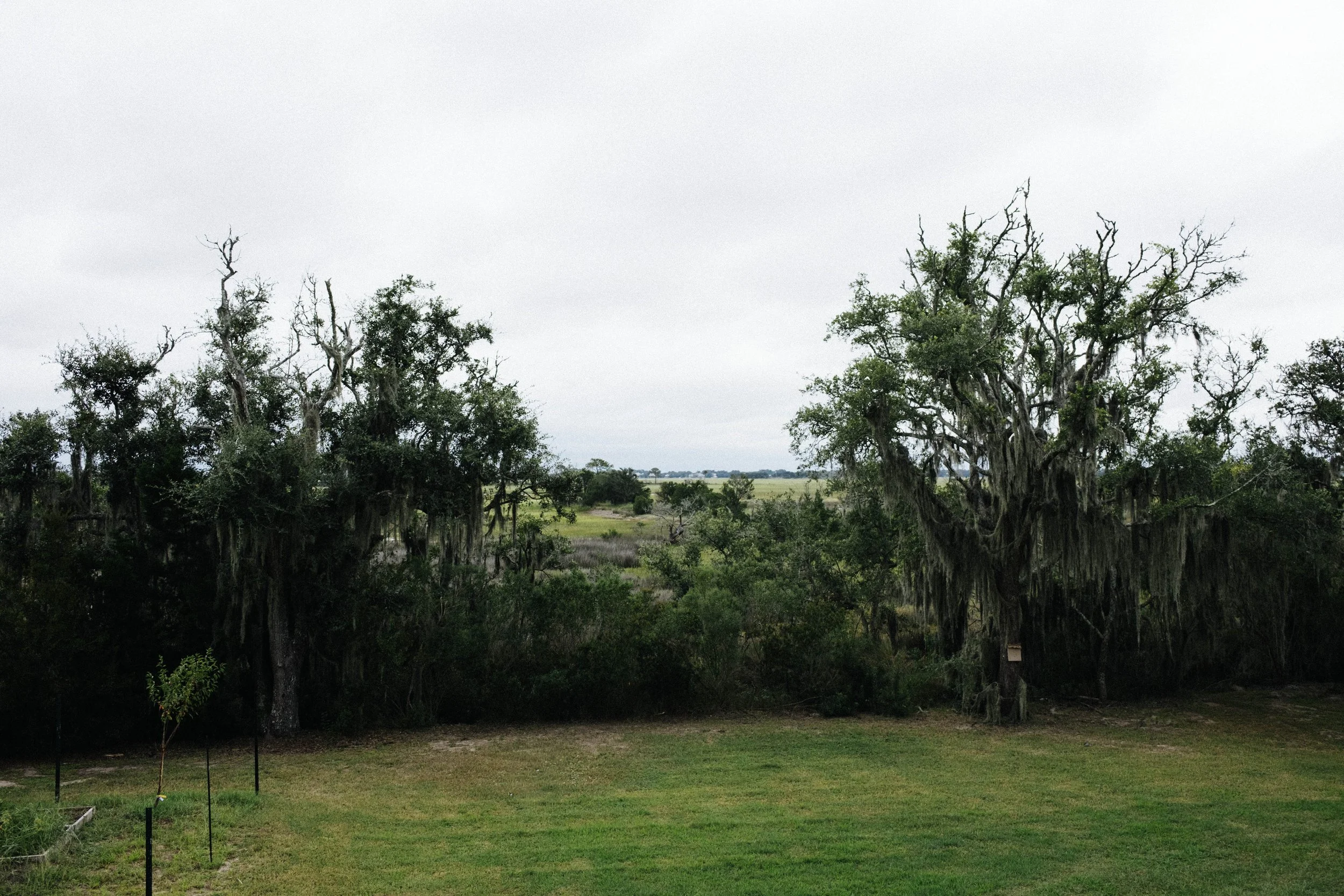 DSCF5365.jpg