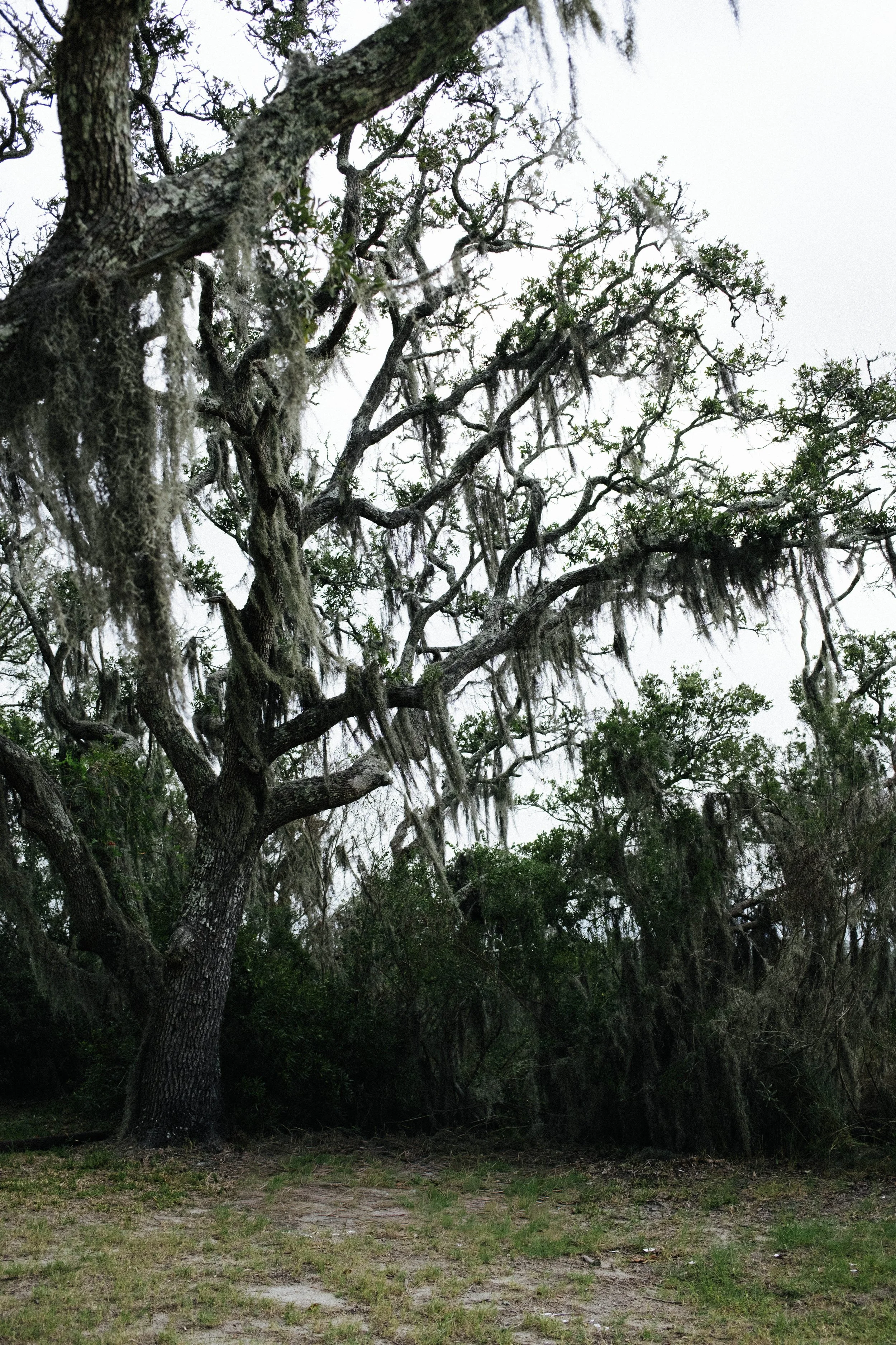 DSCF5376.jpg