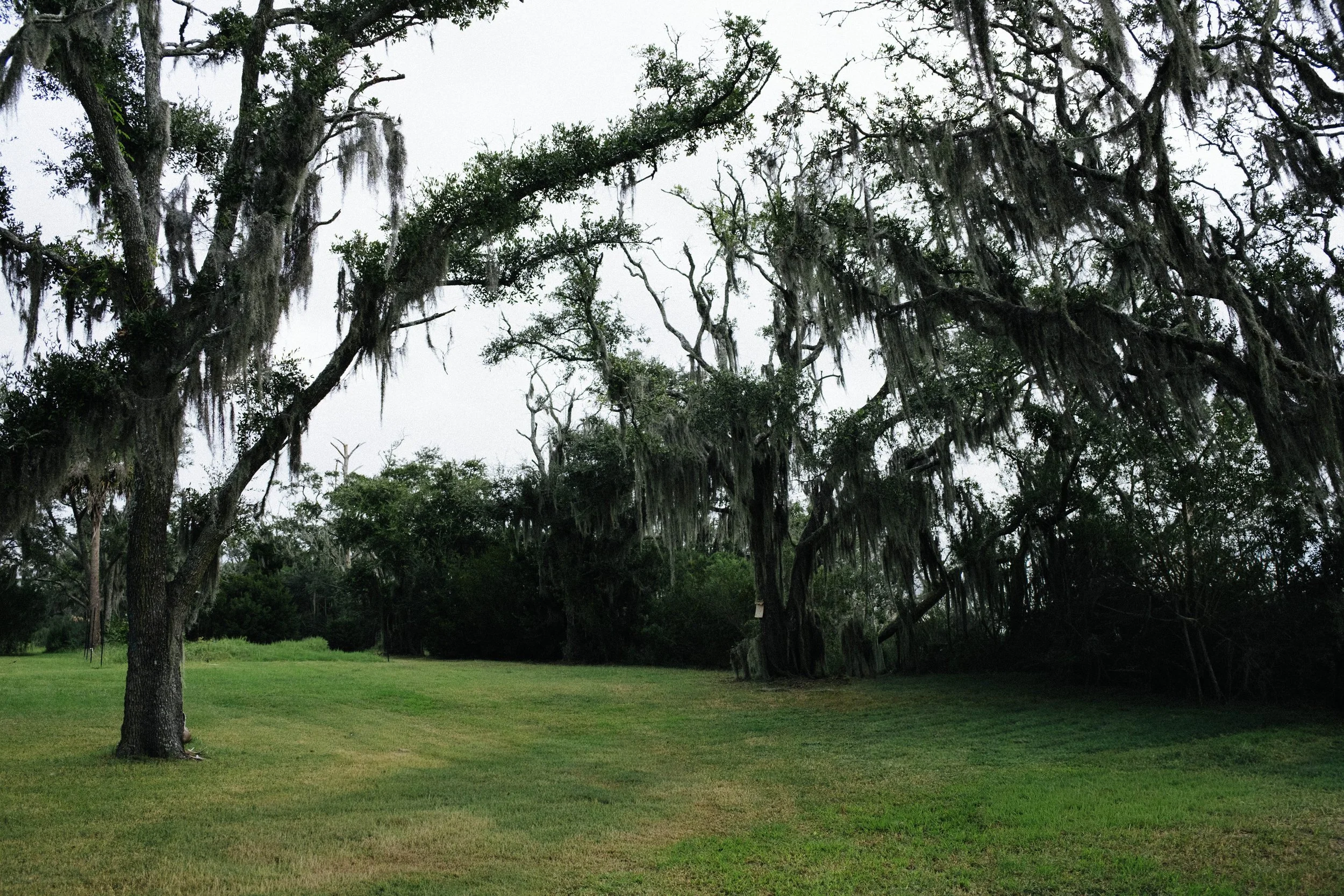DSCF5373_1.jpg