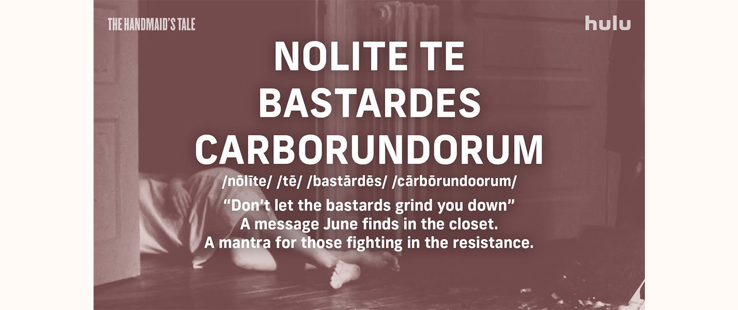 tht4-carousel3.jpeg