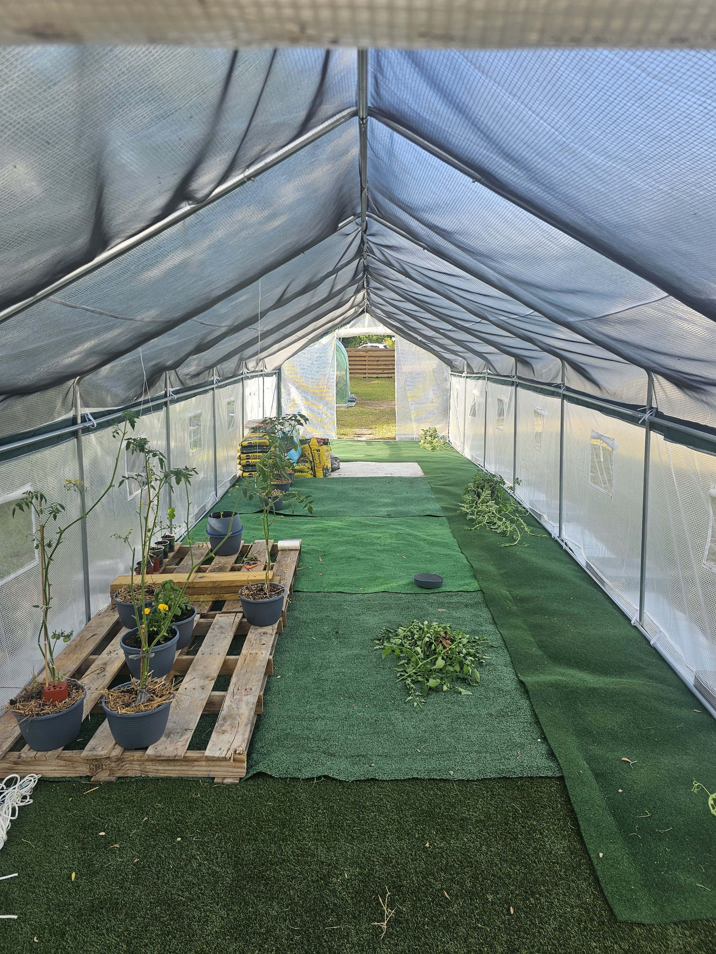 community garden.jpg