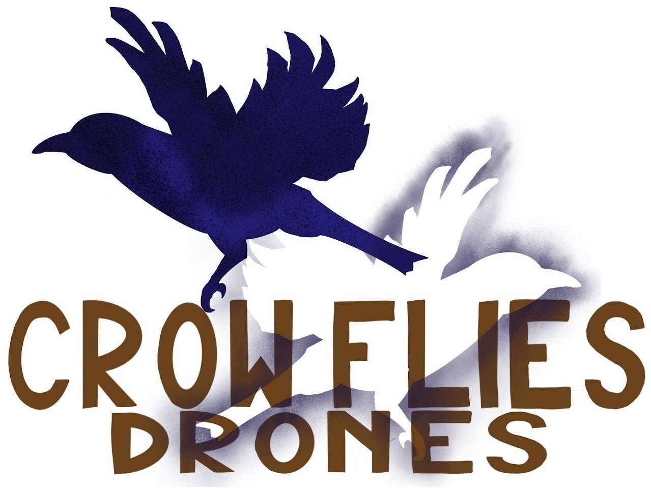 Crow Flies Drones