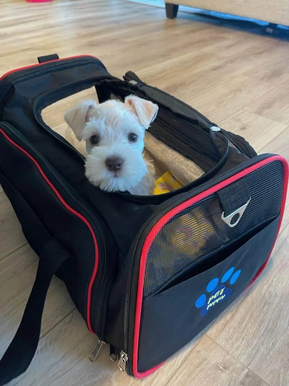 360950641_588286869879573_896928201303701521_n.jpg