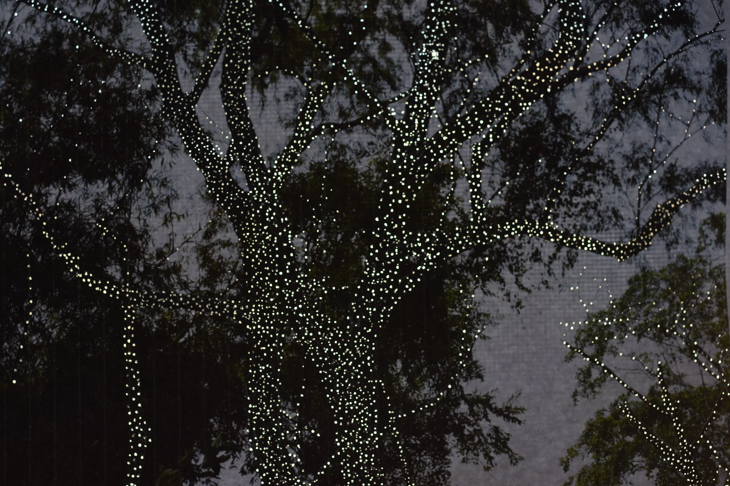 Public Workshop: Transformar recuerdos, intervenir imágenes