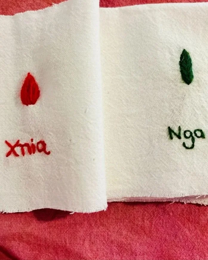 Public Workshop: Fanzine de hebras silvestres