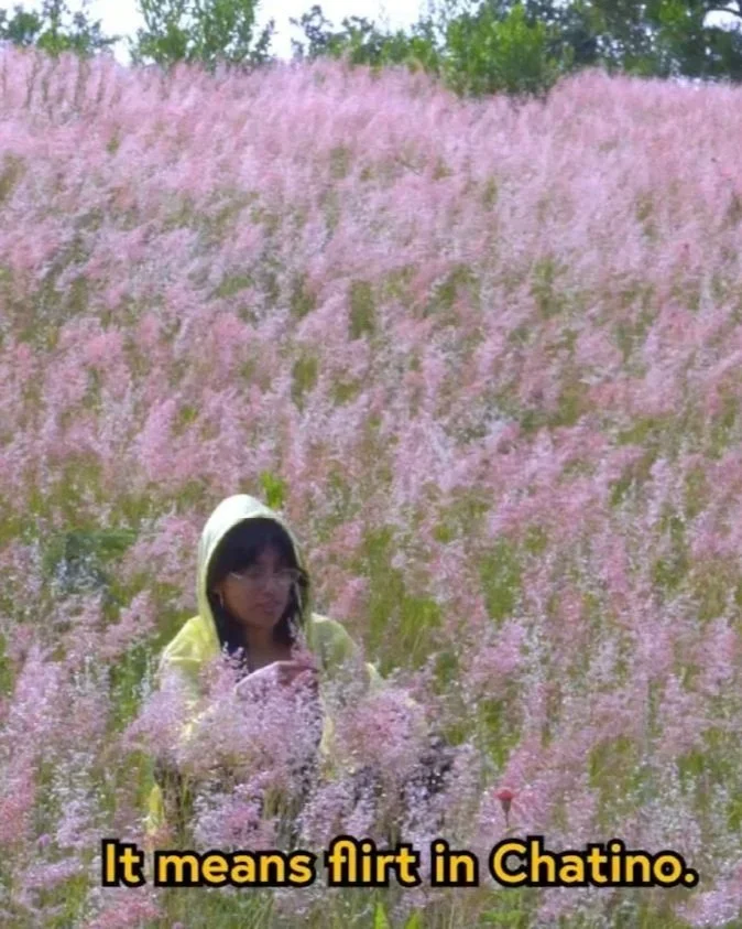 Public Workshop: "°❀⋆.ೃ࿔*:･. Un Enfoque Descolonizado De La Narración Visual   🌾🪕༄˖°.🍂"