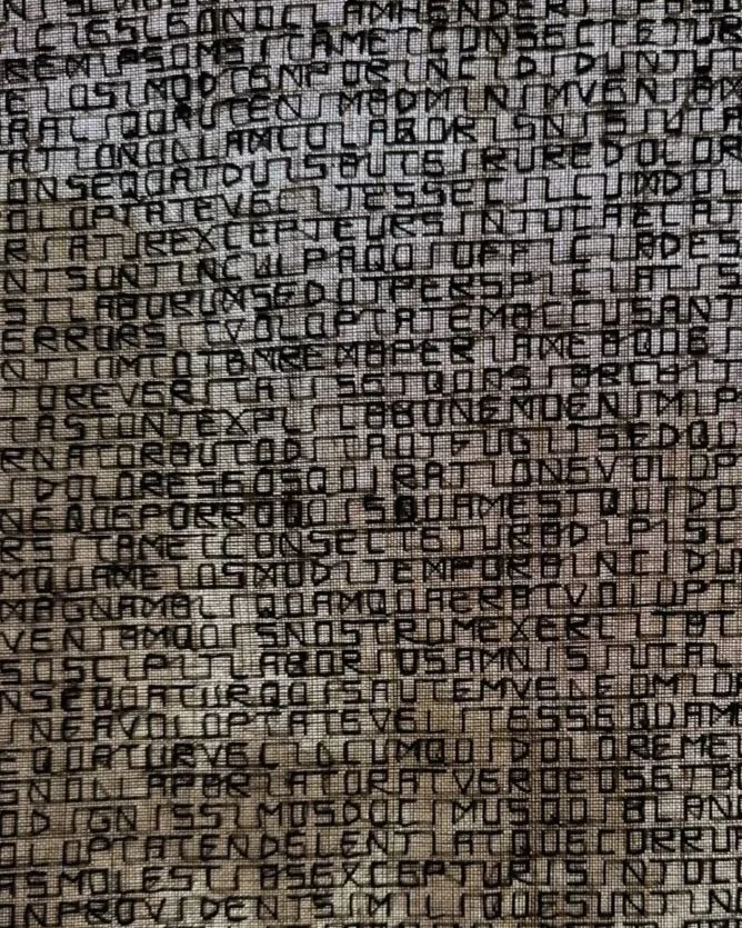 Public Workshop: Bordado acumulativo