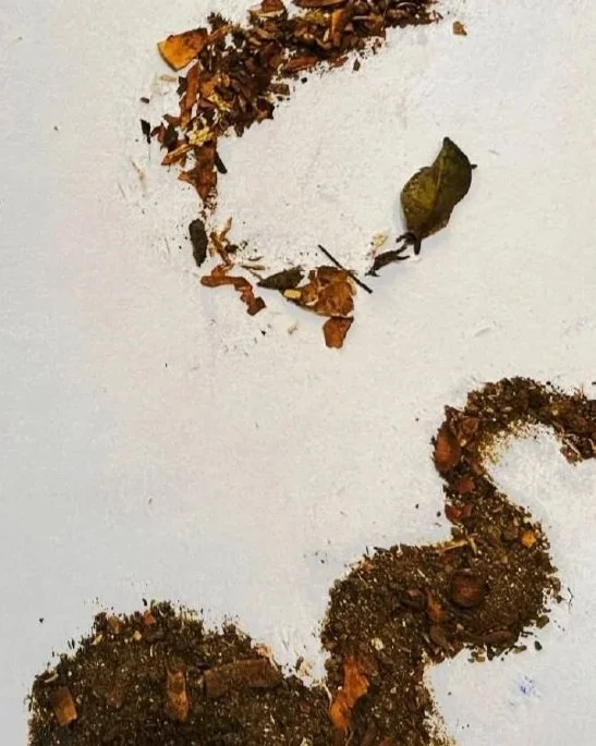 Public Workshop: Contemplando el suelo: cromatografía del suelo